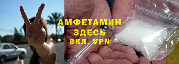 молекула духа Новозыбков